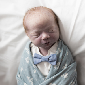 Team Page: Benson’s Bunch